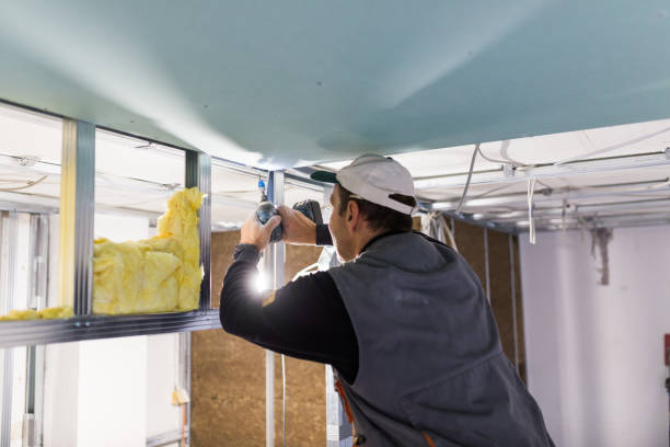 Best Insulation Replacement Services  in East Porterville, CA